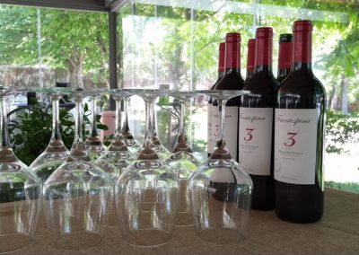 Cata de vinos evento de empresa